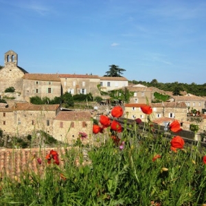 Hilltop village scene in Provence