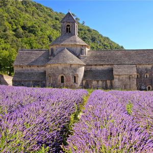 Senanque Abbey, Provence, France